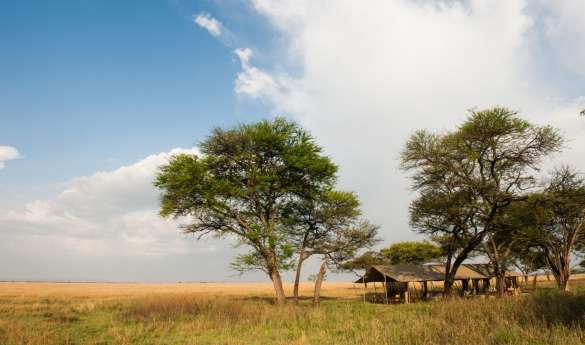 Serengeti Safari Camp