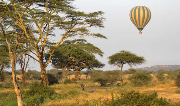 Hot air ballooning over the Serengeti