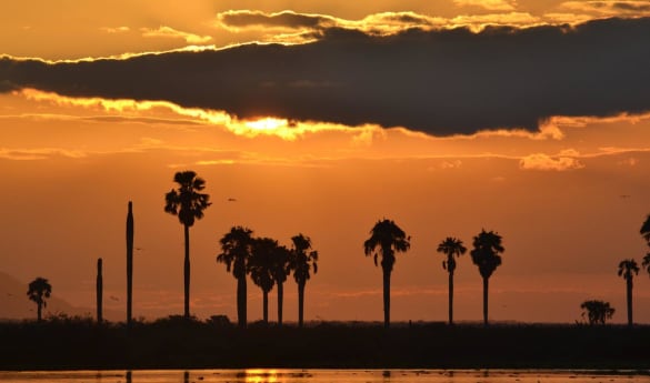 Sunsets over the Rufiji
