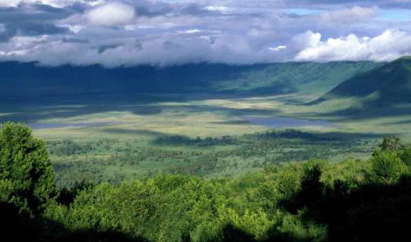 Walk to the Ngorongoro Crater Rim