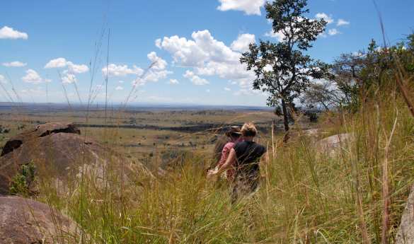 Walking safari from Lamai