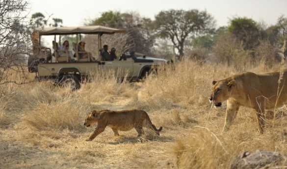 Tanzania Uncovered