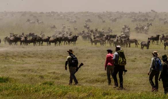 Walk with the Great Migration