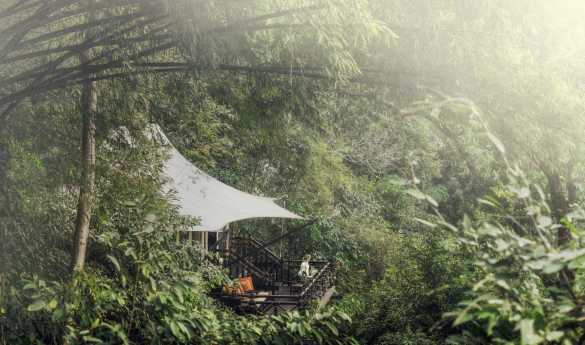 Four Seasons Tented Camp Golden Triangle
