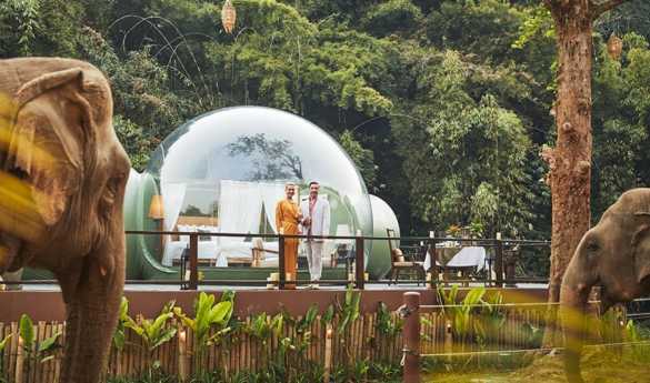Anantara, Golden Triangle - Jungle Bubble Overnight