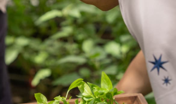Capella Bangkok: Private Thai Cooking Experience