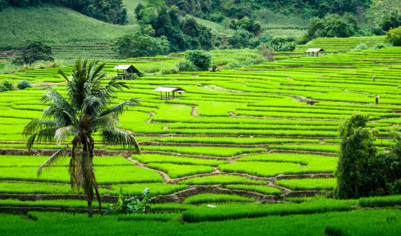 Cycling Wiang Khum Kham to Ban Tawai