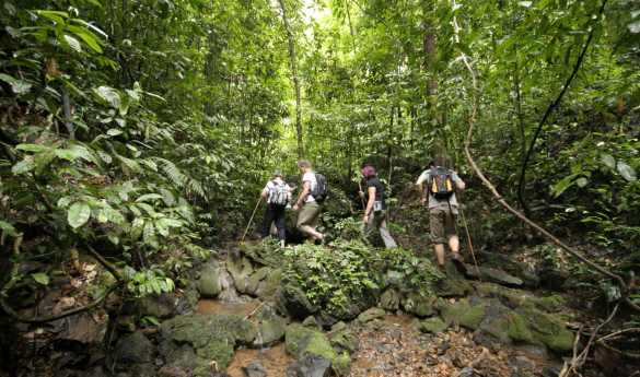 Day 4 - Elephant Hills Rainforest Nature Safari - 4 days/3 nights