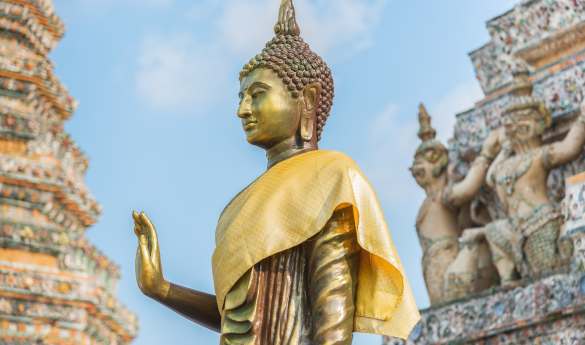 Distinguished Hosts - Bangkok