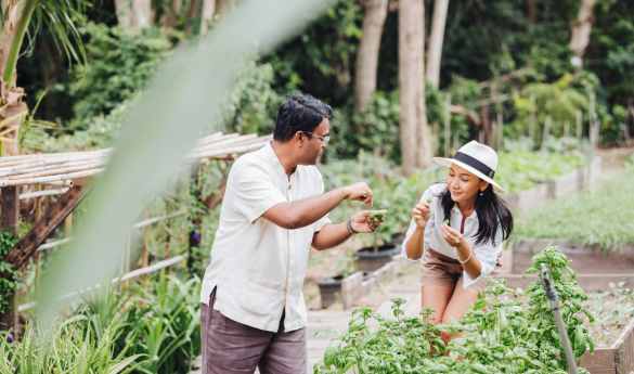 Six Senses Samui Garden-to-Fork Experience