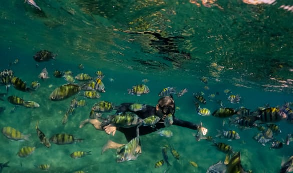 Snorkelling at Koh Waeo