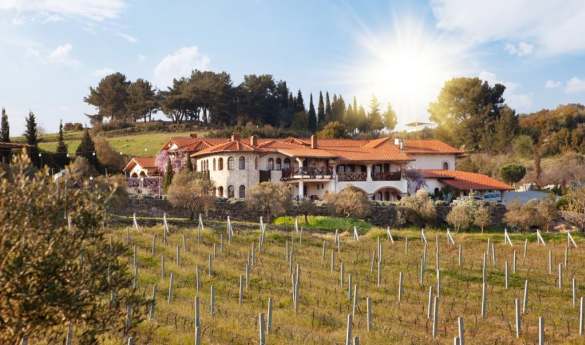 Vinifera Vineyard Hotel
