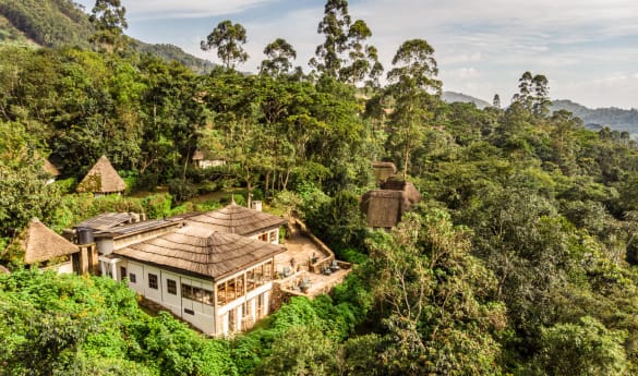 Volcanoes Bwindi Lodge
