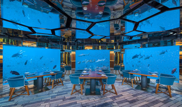 Dubai to Maldives: A Luxurious Escape