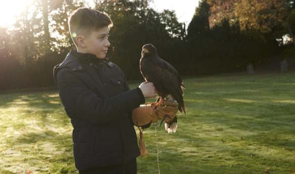 Falconry at Gleneagles