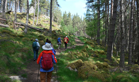 Hiking in Balmoral and a Royal Lochnagar Distillery Tour