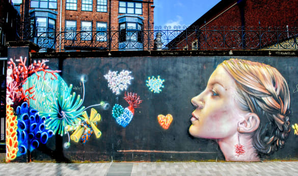 The Belfast Legacy: A VIP Private Journey