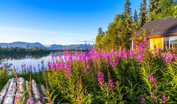 Winterlake Lodge