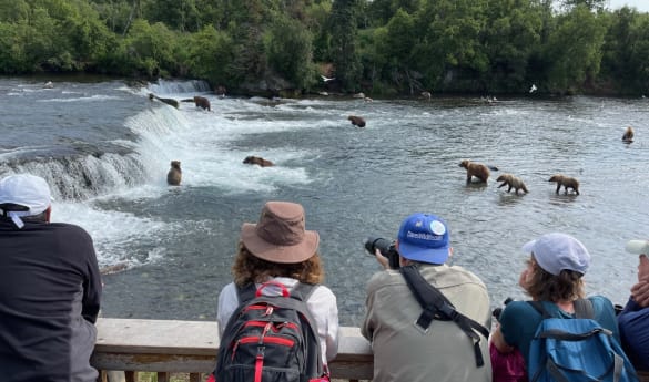 Bear Viewing Excursions at Stillpoint Lodge