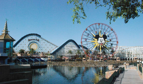 Disneyland Private VIP Tour