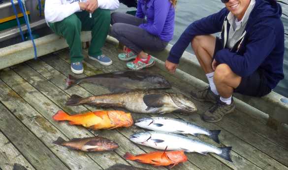 Fishing in Kachemak Bay