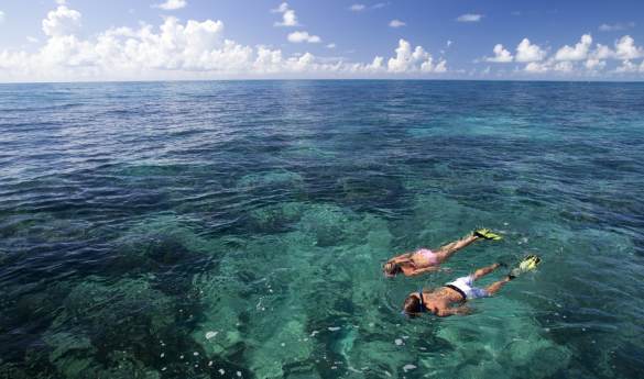 Florida Keys Snorkeling Charter