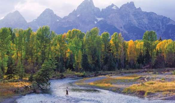 Full day Fly Fishing Experience