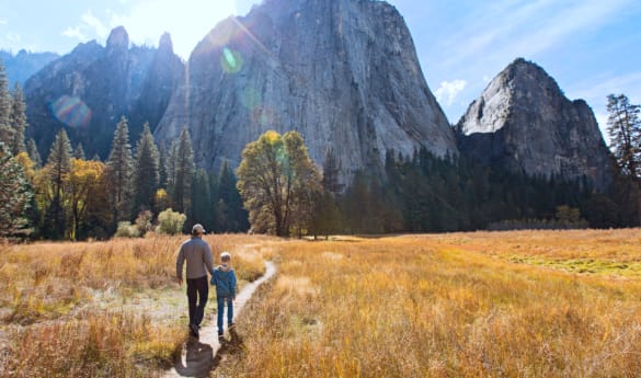 Guided Hiking in Yosemite National Park