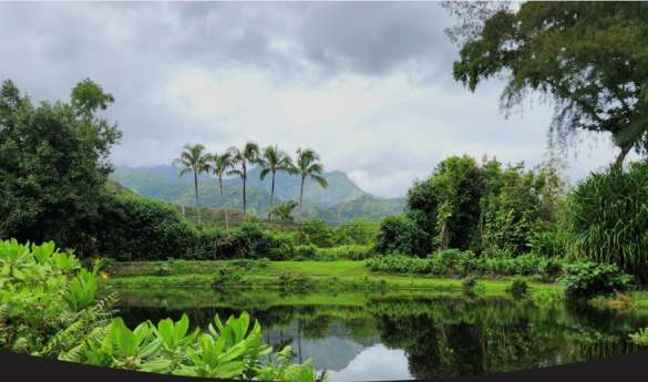 Hawaiian Farm Tour and Lunch