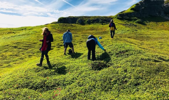 Hiking at Stillpoint Lodge