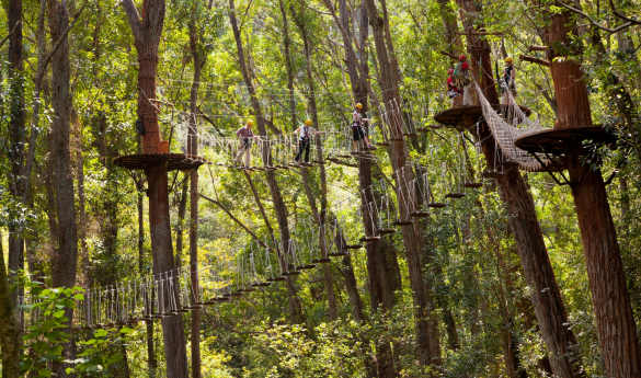 Kohala Zip and Dip Tour