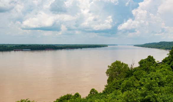 Mississippi River Eco Safari Natchez