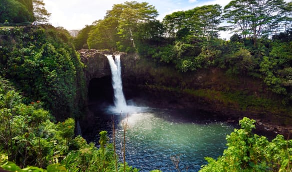 Private Full-Day Coffee & Waterfalls Tour