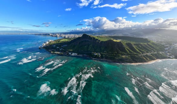 Private Whale Watch Boat Charter