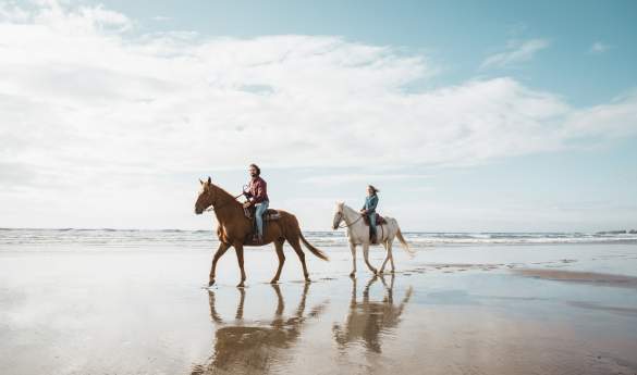 Beachside Horseback Ride and Scenic Picnic Lunch