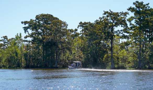 VIP Swamp Airboat Tour New Orleans