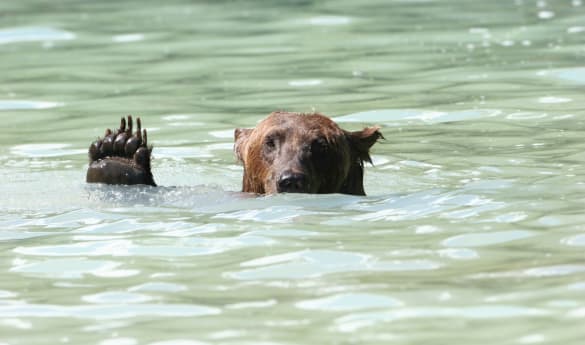Redoubt Bay Lodge Included Activities and Excursions