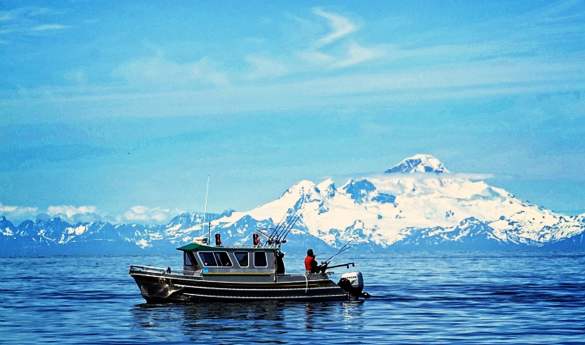 Saltwater Fishing at Still point Lodge