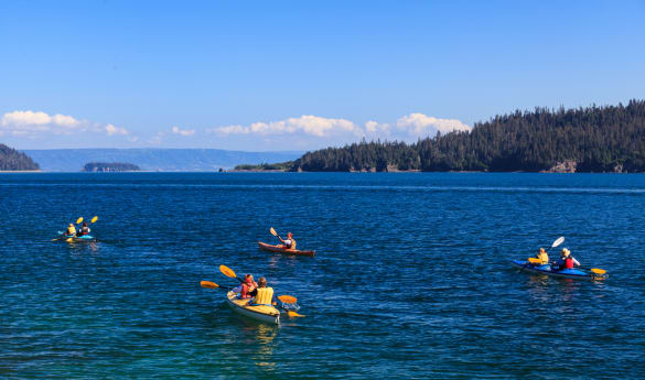 Tutka Bay Lodge Included Activities