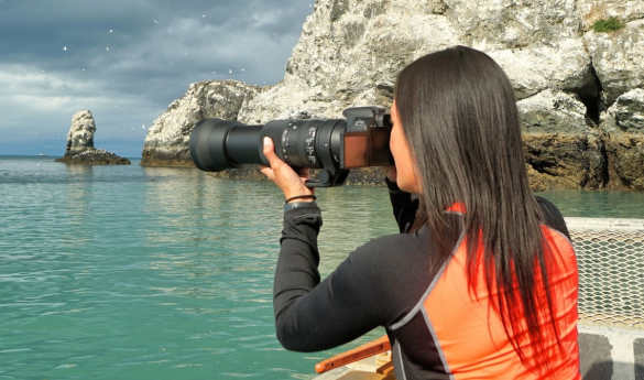 Wildlife Photo-Safari Cruise at Stillpoint Lodge