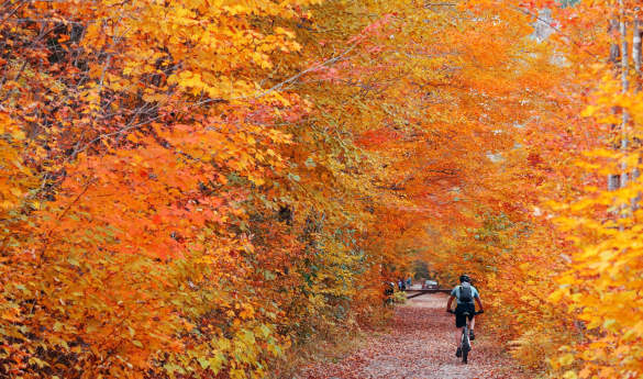 Grand New England Escape: Style, Nature, and Heritage
