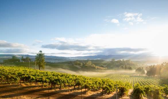 Best of Northern California