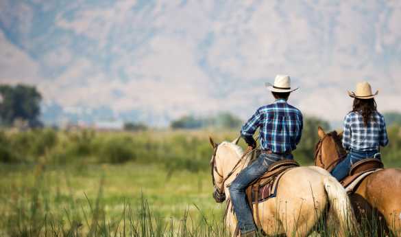 Perfect Pairings: Jackson Hole & Yellowstone