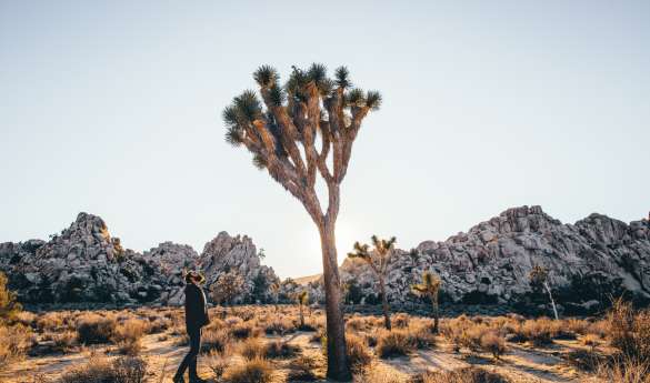 Perfect Pairings: San Diego & Palm Springs