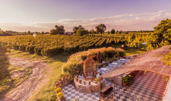 Finca Narbona