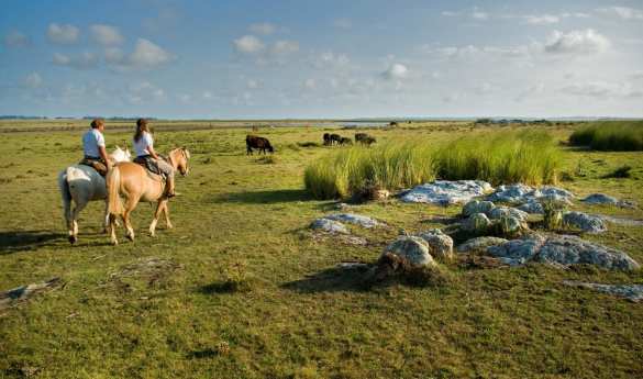 Family Fun in Uruguay