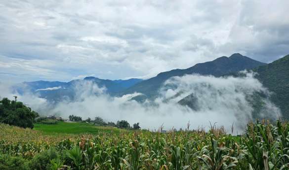 Half Day Trek to Sin Chai Village