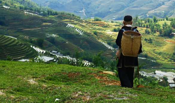 Natural Wonders of Vietnam: From Halong Bay to the Mekong Delta