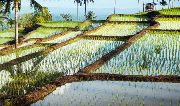 Rail & Sail: A Far Eastern Odyssey