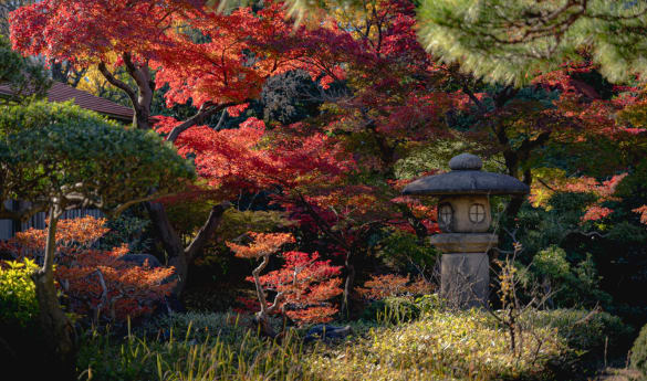 Japan's Golden Route by Rail: Cruise Extension